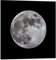 Posterlounge Vollmond Acrylglasbild von MonarchC 20 x 20 cm Grau Wandbilder Wanddeko