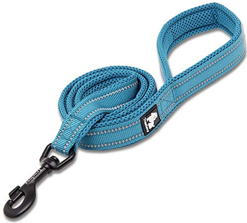 WINHYEPET Dog Leash Nylon Reflective,110cm Length(Black,XS) | Truelove Comfortable Handle Lead Puppy Training Walking Rope Easy Control Suitable Small Medium Large Breeds