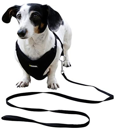 Kerbl Pet Welpengeschirr mit Leine, schwarz, 30 - 50 cm/10 mm