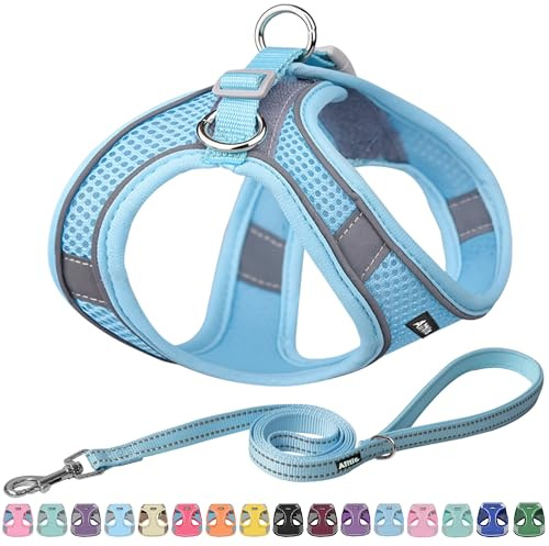 AIITLE Ensemble Harnais et Laisse pour Chien - Harnais Anti-Traction avec Bandes réfléchissantes, Harnais d'extérieur réglable pour Chiens de Petite et Moyenne Taille Bleu Pur M