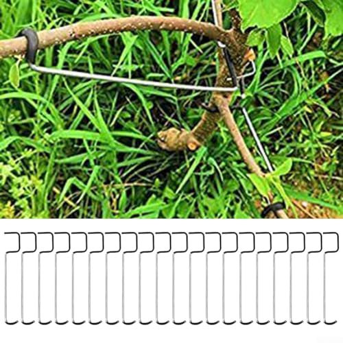 ZYNCUE Astspreizer, 20 Stück Edelstahl Obstbaum Zweige Streuer für Garten (16T)
