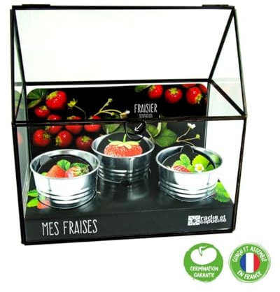Radis et Capucine - Serre avec châssis zinc noir - Fraisier - 3 pots