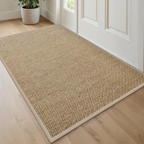 DEXI Door Mat 80 x 120 cm, Non-slip Dirt Trapper Doormat, Beige | Rubber Backing, Low Profile Indoor Floor Mats, For Front Door, Back Door, Entrance, Hallway, Doorways, Patio