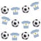 AK Giftshop Argentina Football Bunting Party Decorations World Cup Flags - 12pcs / 2.5m Ribbon