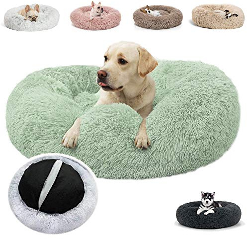 JRUI hundebett für Grosse Hunde waschbar- hundekissen katzenkissen- hundesofa- hundekörbchen katzenkörbchen- Rund plüsch flauschig Haustierbett- Hellgrün Ø 100 cm