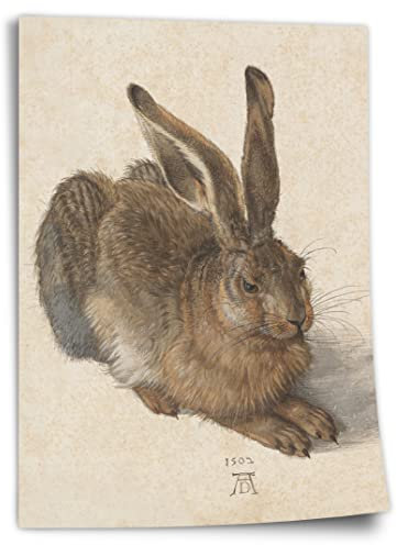 Printistico Poster Albrecht Dürer - Feldhase Kunstdruck ohne Rahmen, Wandbild - A4, A3, A2, A1, A0, XXL - Wohnzimmer, Schlafzimmer, Küche, Deko