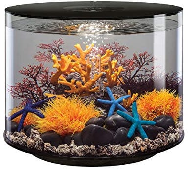 biOrb Tube 35 LED schwarz