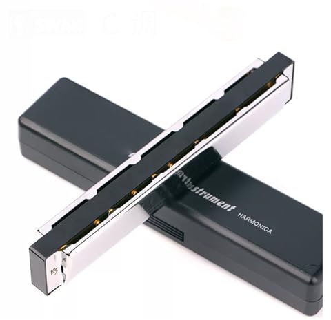 Mundharmonika 24-Loch polyphone Mundharmonika für Anfänger(G)