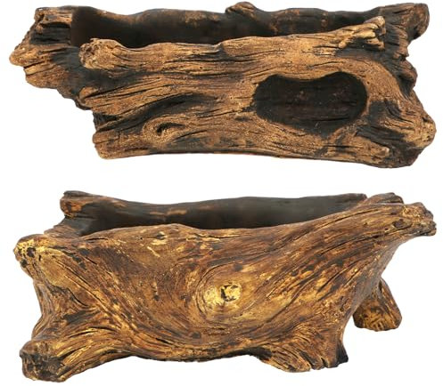 Lot de 2 pots de fleurs pour bonsaï en bois flotté pour plantes grasses