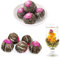 SKYPRO Lot de 16 boules de thé en fleurs différentes - Boules de thé à fleurs scellées individuellement - Feuilles de thé vert naturel nouées à la main et fleurs comestibles