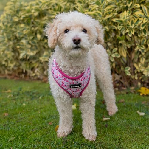 AllPetSolutions No-Pull Dog Harness – Padded Vest with Fun Flamingo Print, Reflective Trim & Breathable Air-Mesh (Small)