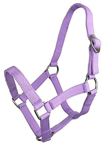 York Halfter Shetty Ponyhalfter Pferdehalfter Bandhalfter Pony (violett)