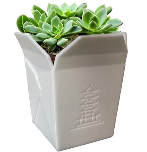 DKWRK3D Chinesische Nudelbox Blumentopf Weiß - Chinesisch Take-Out Box - Take Away - Pflanzen Übertopf Lustig - Asia Sukkulenten Topf - Pflanzentopf Witzig Blumenübertopf aus Kunststoff (S)