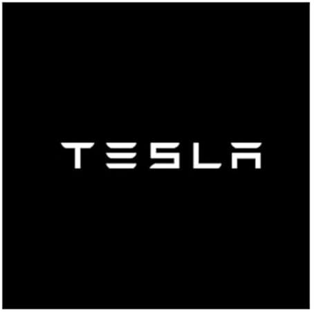 2Pcs Car Door Projector Lights for TESLA MODEL Y, Puddle Lights Step Courtesy Welcome Lights Ghost Shadow Lamp Accessory