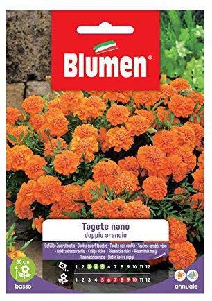 SEMI TAGETE NANO DOPPIO ARANCIO BLUMEN SEMENTI FIORI