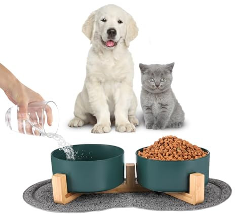 Ewilibe Trinkbrunnen Katzen Wasserbrunnen Katzentrinkbrunnen (Grün400)