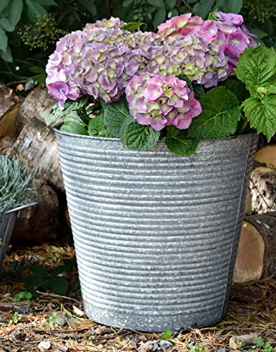 Ivyline Ribbed Galvanised Iron Planter with Built in Drainage - Frost Proof & UV Stable - Decorative Rust Resistant Outdoor Flower Pot - H28cm x D32cm