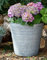 Ivyline Ribbed Galvanised Iron Planter with Built in Drainage - Frost Proof & UV Stable - Decorative Rust Resistant Outdoor Flower Pot - H28cm x D32cm