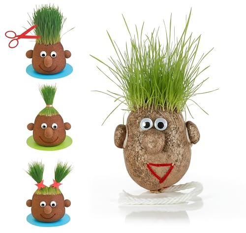 Tête d’herbe à faire pousser - Monsieur gazon, plante insolite, grasshead cheveux naturel - Décoration amusante et ludique, expérience jardinage - Petit modèle 5 cm sans support