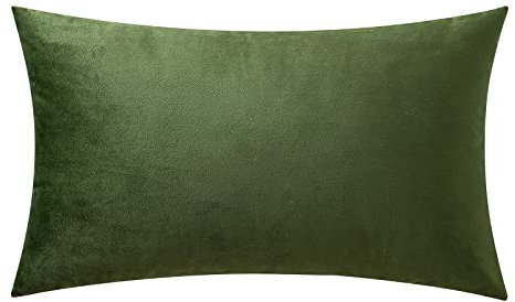 MIULEE 1 Stück Samt Kissenbezug Kissenhülle Dekorative Sofakissen Dekokissen Deko Couchkissen Zierkissen Bezug mit Verstecktem Reißverschluss für Sofa Schlafzimmer 30x50 cm Matcha Grün