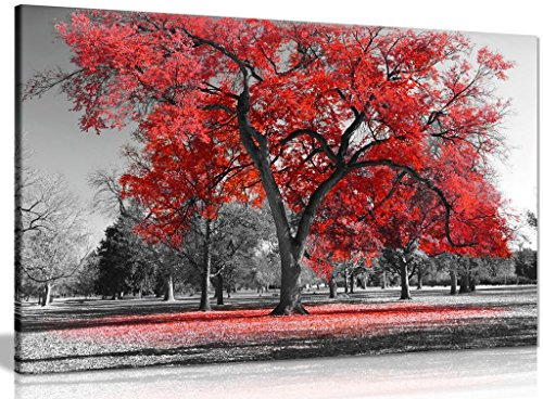 Large Tree Red Leaves Black White Nature Canvas Wall Art Picture Print (30x20in)