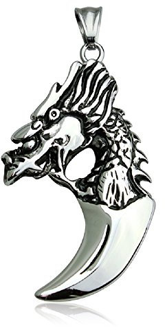 BlackAmazement Anhänger Edelstahl Zahn Drache Dragon Tooth Halskette Silber Herren Damen (Anhänger mit Kette)