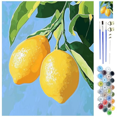 WEBEEDY Kit de Peinture Par Numéros au Citron pour Adultes Débutants Kit Paint And Sip de 40x50cm avec Instructions Set de Peinture Sur Toile de Fruits à Numéros pour la Décoration Intérieure