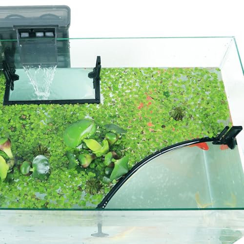 1 ensemble de poissons-anneau d'alimentation, barrière des usines flottantes sépare le corral de plante flottante, installation facile d'aquarium Corral plante flottante, pour intercepter les pl