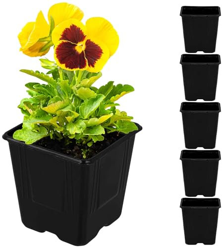 KOTARBAU® 5er Set Anzuchttöpfe Rechteckig Pflanzschale für die Anzucht von Pflanzen 11x11x12 cm