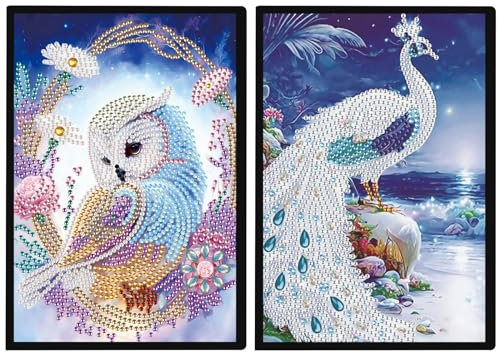 DCIDBEI 2 Pack Diamond Painting Notizbuch Eule Pfau A5 Blanko Diamant Malerei Notizbücher Diamond Painting Tagebuch Mädchen Skizzenbuch Übenheft Notizheft Pfau Eule Erwachsene Babytagebuch 50 Blätter