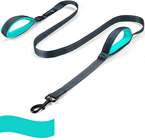 PuppyDoggy Hundeleine für große und mittelgroße Hunde 2 gepolsterten Griffen mit reflektierende Fäden Strapazierfähiges Hundeseil Haustierleine 1,8 m (Grün 1 Pack)