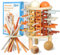 Jemmytu Giochi Montessori Legno, 36 Pcs Giochi di società per Bambini, Giochi Montessori Legno Bambini 3 4 5 6+ Anni Idee Regalo, con Bastoncini Colorati, Dadi e Custodia