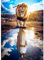 AIRDEA Löwe Diamond Painting Erwachsene, DIY 5D Jesus Diamant Painting Bilder, Bastelset Erwachsene Frauen als Haus Wanddeko 30x40 cm