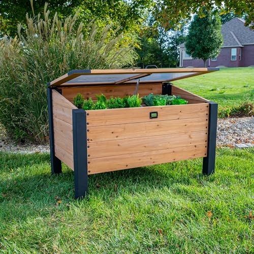 Backyard Discovery Aggie 4' x 2' Cedar Wood Cold Frame Portable Mini Greenhouse, Raised Garden Planter with Temperature-Activated Polycarbonate Lid, Mesh Drainage for Year-Round Outdoor Gardening