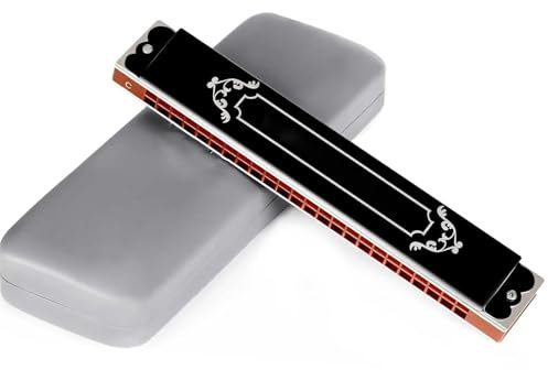 mundharmonika set 24-Loch-Tremolo-Mundharmonika In Verschiedenen Tonarten Für Erwachsene Anfänger(D)