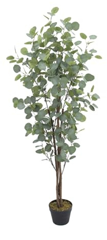 Bonerva | Eucalipto Nature 150 cm Altura | Planta Artificial con Tronco Natural | Ideal para Decorar Interiores: hogares, Negocios y hoteles