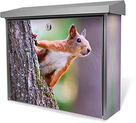 banjado® Burgwächter Briefkasten Edelstahl 38,5x31,5x12cm mit Motiv Eichhörnchen/Briefkasten Edelstahl ohne Zeitungsfach/Briefkasten grau/Postkasten inkl. Montagematerial & 2 Schlüsseln