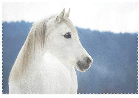 RELEESSS Platzdeckchen, wei?es Pferd, rutschfest, hitzebest?ndig, waschbar, 1 St¨¹ck