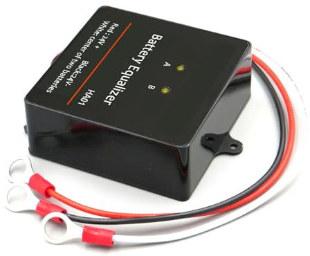Batterie 24 V - Tension pour batterie au plomb et acide au lithium avec affichage
