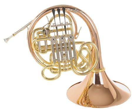 waldhorn B-Doppelhorn für Anfänger Phosphorbronze