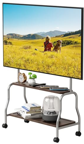 Mobile TV Stand on Wheels for 32-75 Inch TVs, Rolling TV Cart with 2-Tier Storage Shelves, Universal Portable TV Trolley with Lockable Casters, Holds up to 110lbs/50kg (Stainless Steel Color)