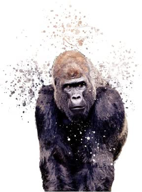 SmartGiftShop Asian Wildlife Animals Case Splatter Art CLEAR Phone Cover Case Exclusive Artwork for iPhone 12 - Gorilla