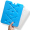 ANTEVIA - Une Planche Bloc refrigérant Plat (x1) | Pains de Glace | Couleur ALÉATOIRE | Congélation Refroidissement Froid Glaçon pour glacière (Freezer Board)