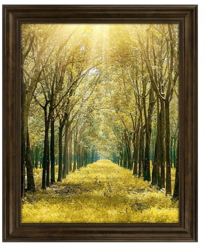 Space Art Deco, Bilderrahmen ohne Passepartout für 40,6 x 50,8 cm Foto/Druck/Poster, High-Definition-Echtglas zur Wandmontage (Braun)