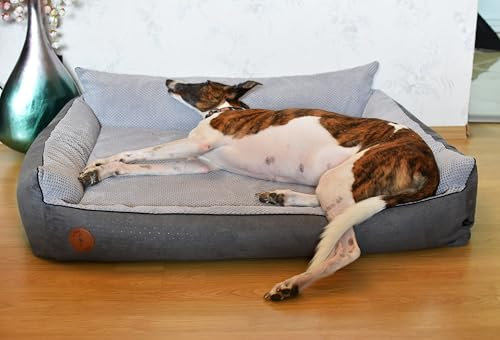BORN2REST Orthopädisches Hundebett Rocky Visco-Matratze Hundsofa L-XXL für große Hunde maschinenwaschbar Europäischen Union hergestellt (Grau, L 102 x 93)