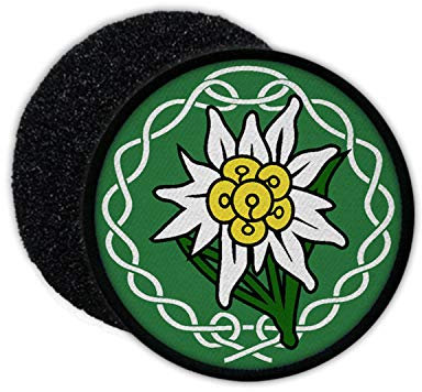 Copytec Patch Alpen Edelweiss Gebirgs-Jäger Blume Aufnäher Bergsteiger BW #23766