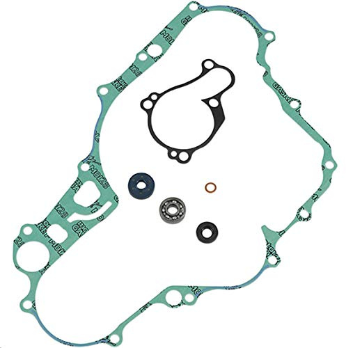 Athena Parts P400250475015 Black Water Pump Gasket Kit with Bearings