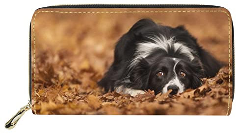 Dolyues Damen-Geldbörse mit Reißverschluss und Münzfächern, PU-Leder, langer Kreditkartenhalter, mehrere Kartenfächer für Damen, Border Collie Dog Design, Klassisch