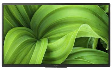 Sony FWD-32W800 - 32 Diagonal Class (31.5 viewable) - BRAVIA Professional Displays LED-backlit LCD display - with TV tuner - digital signage - 720p 1366 x 768 - HDR - Direct LED - black