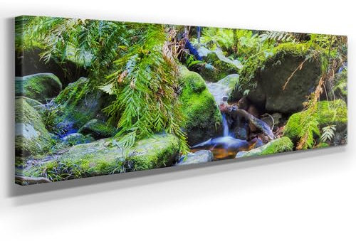 Wunderschönes Leinwandbild Wald Panorama 150x50cm – Ein einzigartiges Foto - Bachlauf - als Wandbild. Eine schöne Wanddeko für Wohnzimmer & Schlafzimmer. Aufgespannt auf Holzrahmen